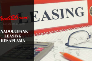 Anadolubank Leasing Hesaplama, Anadolubank Leasing Şahıs ve Şirketler