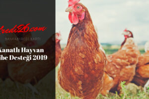 Kanatlı Hayvan Hibe Desteği 2022-2023, Faizsiz Tavuk Çiftliği Kredisi 2022-2023 Hibe Şartları