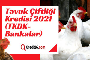 Tavuk Çiftliği Kredisi 2022 – 2023 (TKDK-Bankalar) | Kredi Şartları Neler