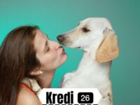 Köpek Sahiplenme Ücretsiz | Hayvan barınağından köpek almak paralı mı?