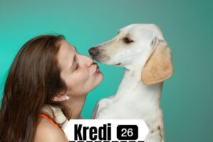 Köpek Sahiplenme Ücretsiz | Hayvan barınağından köpek almak paralı mı?